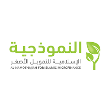 النموذجية للتمويل